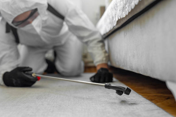 Professional Bed Bug Control technician working in Hurleyville, NY
