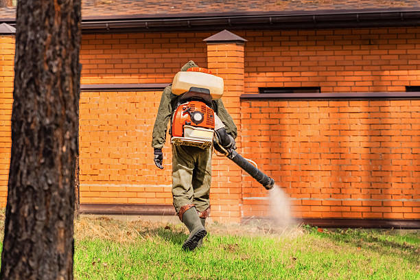 Trusted Bed Bug Control service in Hurleyville, NY - Nex Pest Control